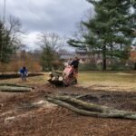 Velasquez Tree Services (3)